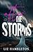 After the Storms (The Storm Series)