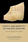 Purity and Identity in Ancient Judaism: From the Temple to the Mishnah (Olamot Series in Humanities and Social Sciences)