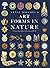 Ernst Haeckel's Art Forms in Nature: A Visual Masterpiece of the Natural World
