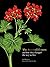 The Story of Flowers: And How They Changed the Way We Live