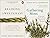 Braiding Sweetgrass & Gathering Moss - 2 Book Set Collection