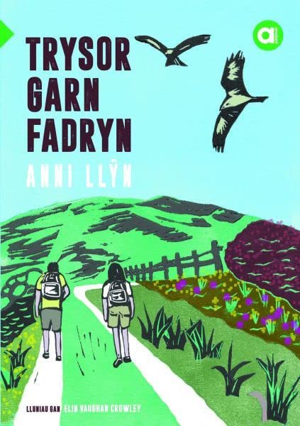 Cyfres Amdani: Trysor Garn Fadryn (Welsh Edition)