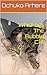 Whiskers The Bubbly Cat by Ochuko Arhere