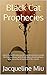 Black Cat Prophecies: poems