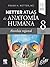 Netter. Atlas de anatomía humana. Abordaje regional (Spanish Edition)