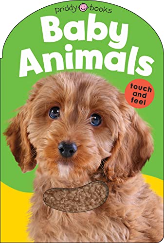 Baby Animals (Baby Touch & Feel)