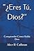 “¿Eres Tú, Dios?”: Comprend...