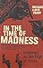 In the Time of Madness: Indonesia on the Edge of Chaos by Lloyd Parry, Richard [2007]