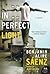 In Perfect Light: A Novel (P.S.)