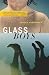 Glass Boys