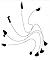 The Surreal Calder