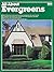 All About Evergreens (5259)