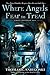 Where Angels Fear to Tread: A Remy Chandler Novel
