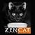 Zen Cat