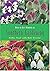 FIRST GARDEN How To Get Started in Southern Gardening (First Garden)