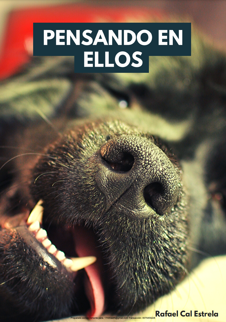 Pensando en ellos (ebook)