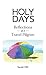 Holy Days by Sarah Hn