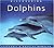 Discovering Dolphins