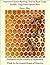 Improved Queen-Rearing: How to Rear Large, Prolific, Long-Lived Queen Bees