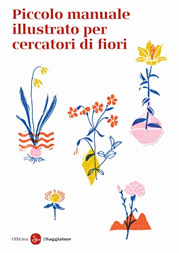 Piccolo manuale illustrato per cercatori di fiori (Paperback)