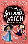 Diary of an Accid...