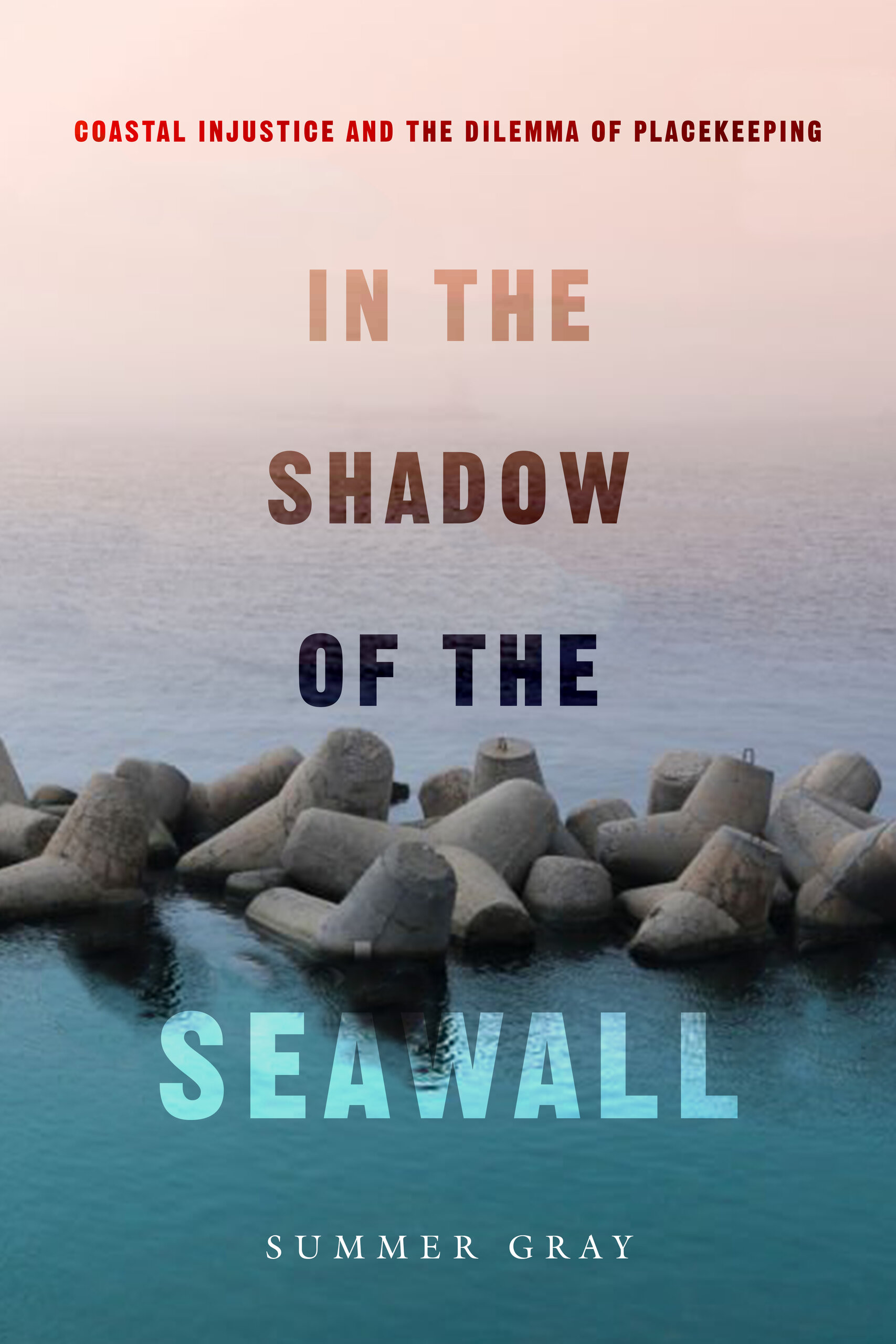 In the Shadow of the Seawall: Coastal Injustice and the Dilemma of Placekeeping (Hardcover)