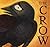 The Crow (A Not-So-Scary Story)