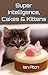Super Intelligence, Cakes & Kittens