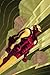 Iron Man: Enter The Mandarin