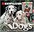 Dogs (Identification Guide)