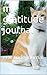 my gratitude journal: grati...