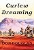 Curlew Dreaming by Don Douglas