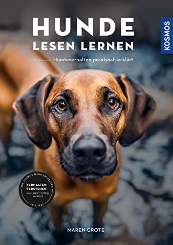 Hunde lesen lernen: Hundeverhalten praxisnah erklärt. Verhalten verstehen und richtig steuern (German Edition)