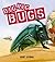 Big Rig Bugs