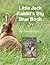 Little Jack Rabbit's Big Bl...