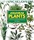 Aquarium Plants by Peter Hiscock