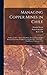 Managing Copper Mines in Chile: Braden, Codelco, Minerc, Pudahuel; Developing Controlled Bacterial Leaching of Copper From Sulfide Ores: 1941-1993: Oral History Transcript / 199