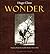Wonder