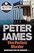 The Perfect Murder