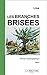 LES BRANCHES BRISEES