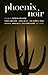 Phoenix Noir (Akashic Noir)