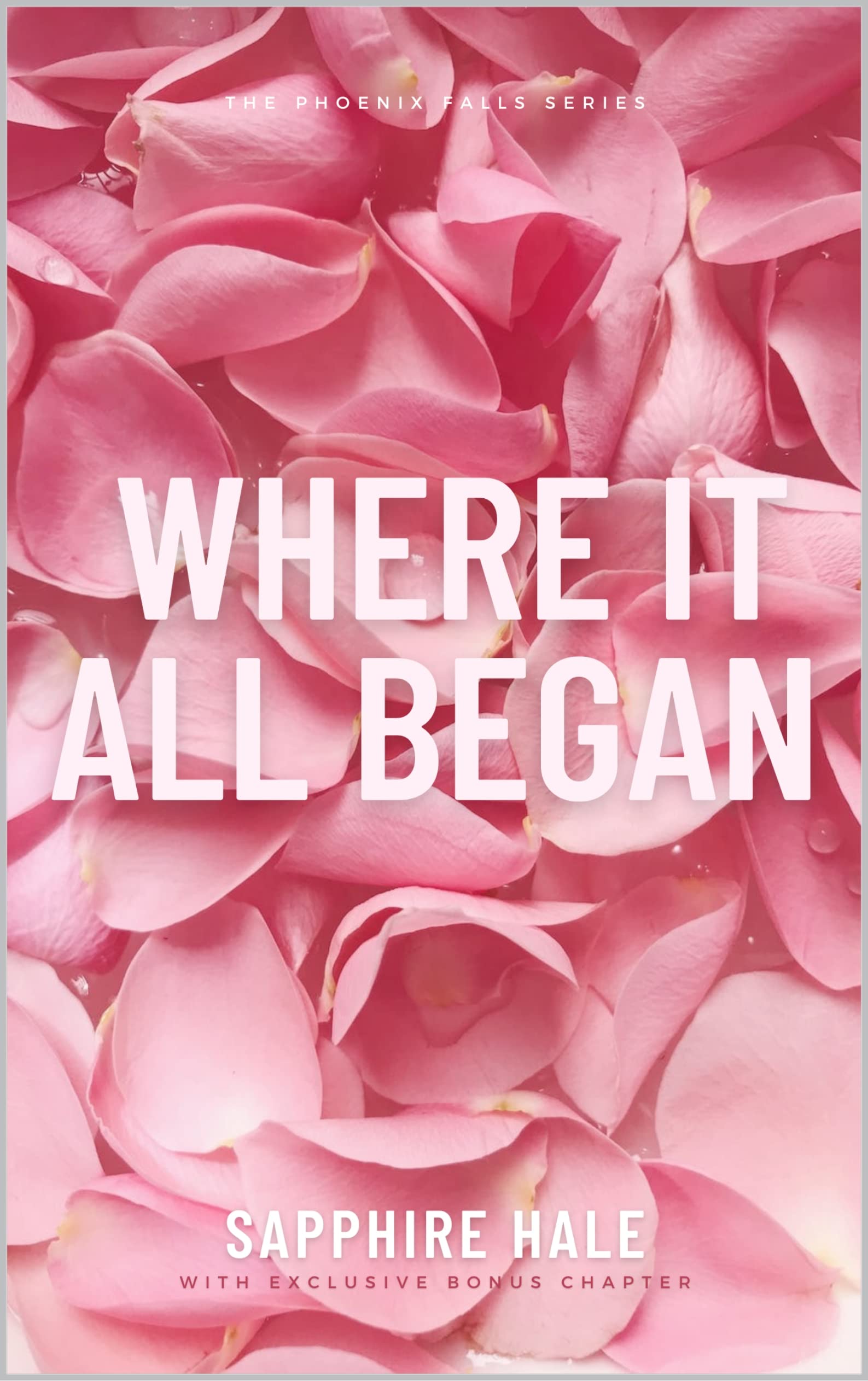 Where It All Began (Phoenix Falls, #2)