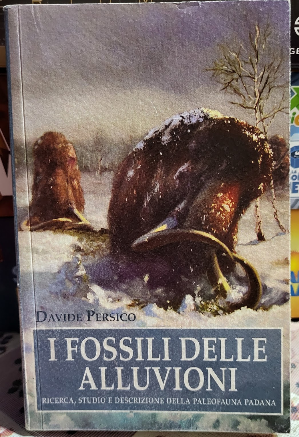 I fossili delle alluvioni. Ricerca, studio e descrizione della Paleofauna Padana