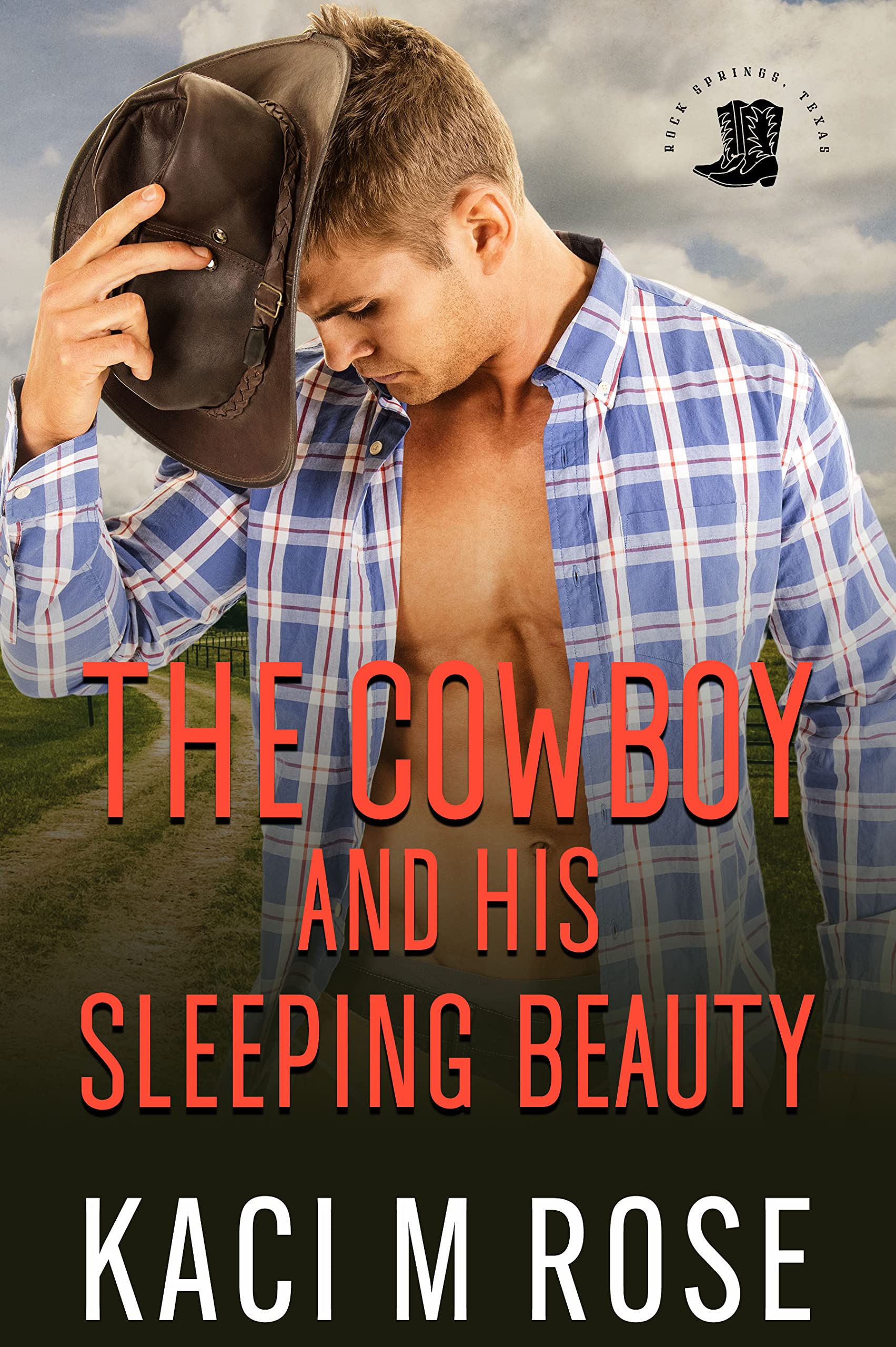 The Cowboy and His Sleeping Beauty (Cowboys of Rock Springs, Texas #7)