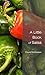 A Little Book of Salsa