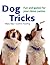 Dog Tricks: Fun and Games f...