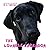 The Lovable Labrador