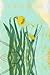 Daffodil Journal