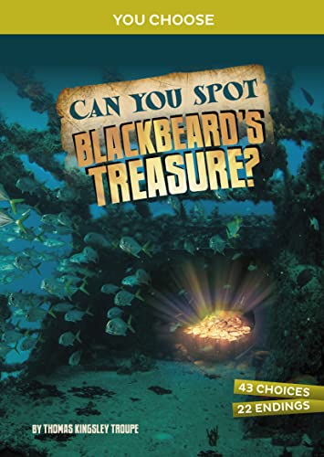 Can You Spot Blackbeard's Treasure?: An Interactive Treasure Adventure (You Choose: Treasure Hunters)