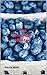 The Blueberry Hunter (Sylvi...